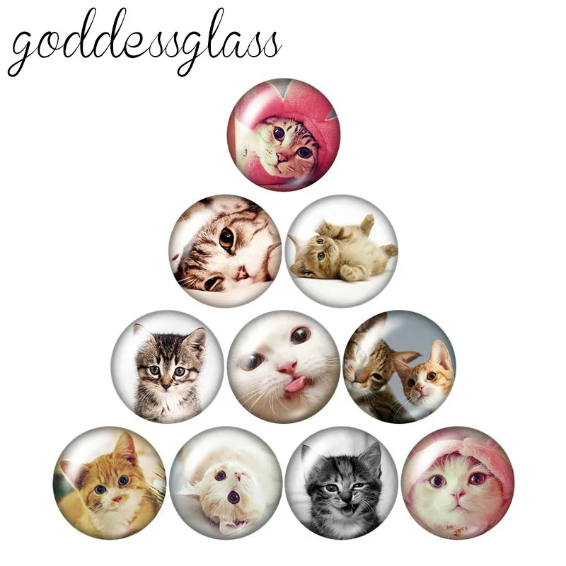 Lovely cats cartoon cats 10pcs mixed 12mm/18mm/20mm/25mm Round photo glass cabochon demo flat back Making findings