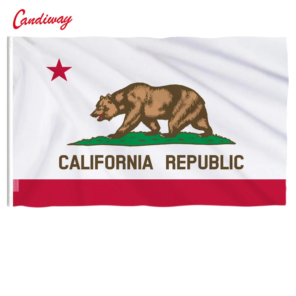 Wave 90 x 150cm California State Flag United States Flag Banner Outdoor Indoor Home Decor