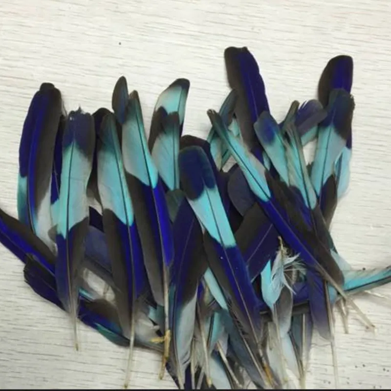 wholesale 10 PCS Natural Kingfisher Feather 3-4