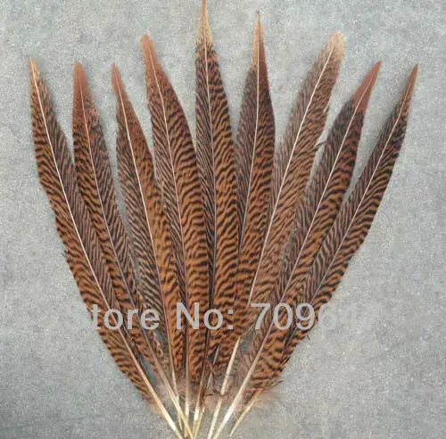 

Hot sell! 10Pcs/Lot! Natural Pheasant Tail Feathers 8-10 inches 20-25cm long ,Feathers Decoration,Plumas Decorativas