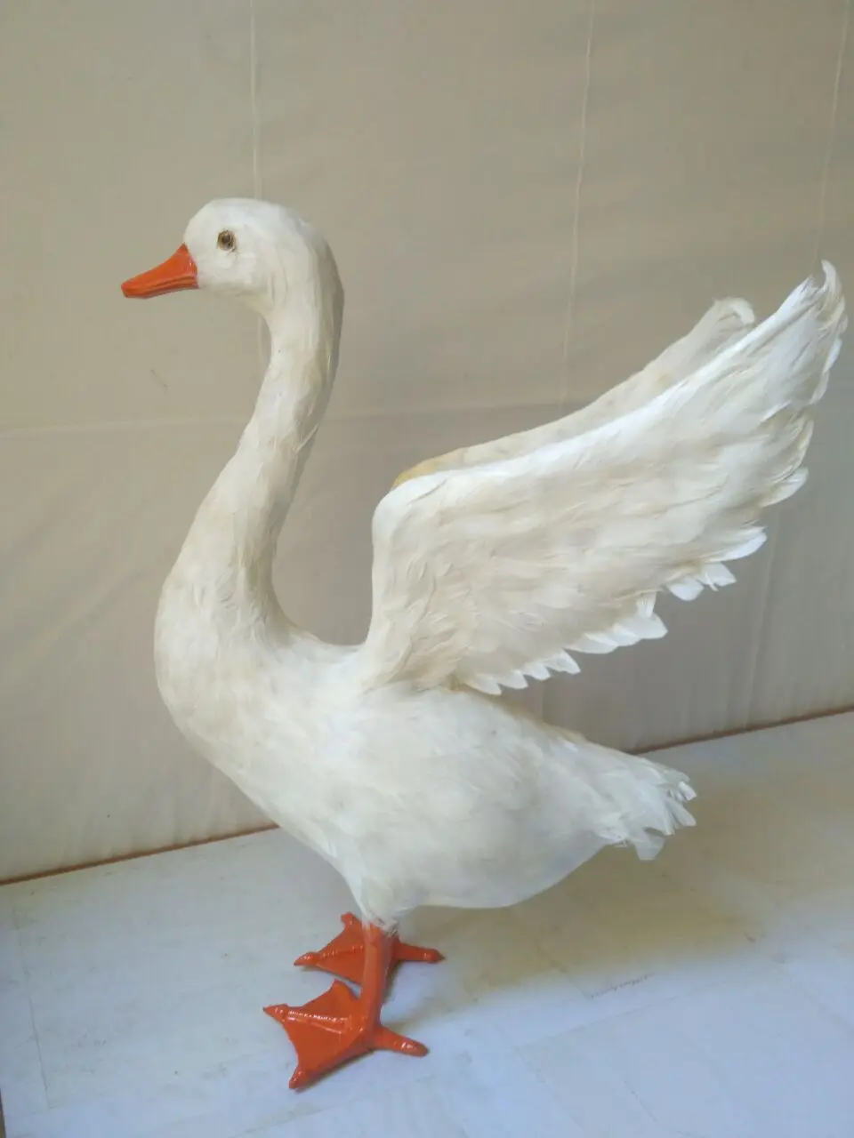 

big simulation swan model plastic&feathers wings white goose props gift about 38x30cm 2420