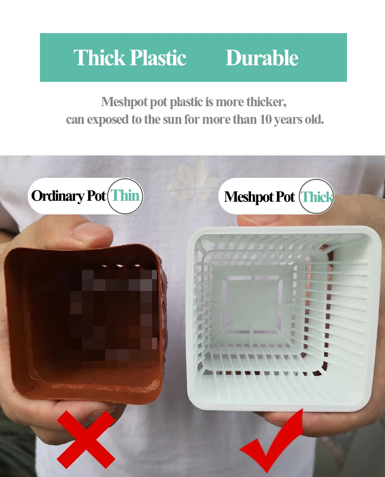 Meshpot 6 cm/7 cm Sukkulenten Topf Kunststoff Blumentopf Kaktus Pflanzer Wurzel Steuerung Gute Luft System Garten liefert Hause Dezember – Detail 10