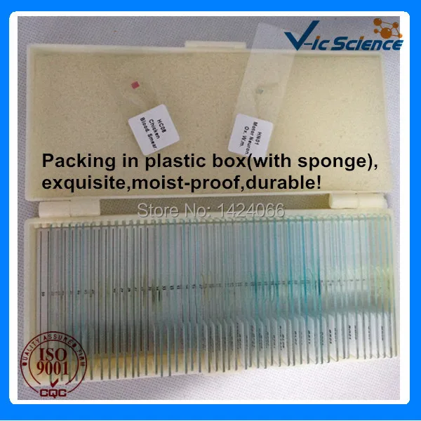 Medical type 100pcs human histology slides set