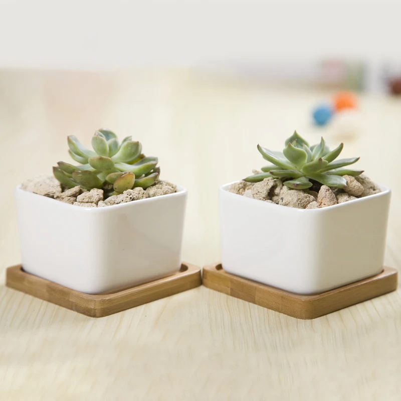 

2 Sets Square White Ceramic Succulent Planter Zakka Style Succulents Pots Desktop Flower Pot Home Decoration (2 Pots + 2 Trays)