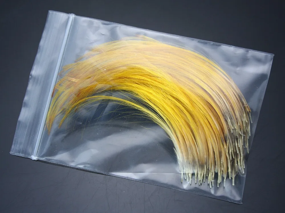 Hand Selected Golden Pheasant Crest Feathers Natural Fly tying material; Available In 4 Sizes