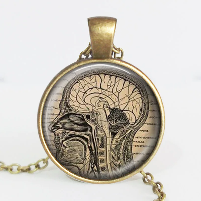 Anatomical brain necklace, human brain anatomy pendant, neurologist gift, biology, medical student gift, neurology pendant