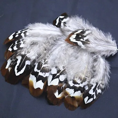 100PCS/LOT 5-9cm Nature BROWN & WHITE REEVES PHEASANT BODY PLUMAGE FEATHERS,Loose Reeves Pheasant Plumage Feathers,