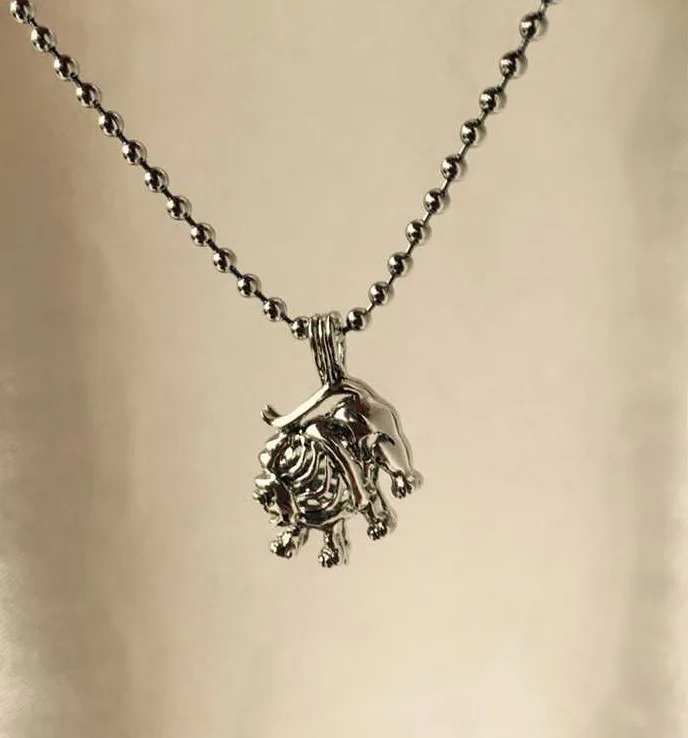 جميل لطيف الأسد شكل حبة المنجد قفص قلادة حوامل ، 18kgp علامات زودياك-أسلوب ليو سحر DIY 5 قطعة/الوحدة #3