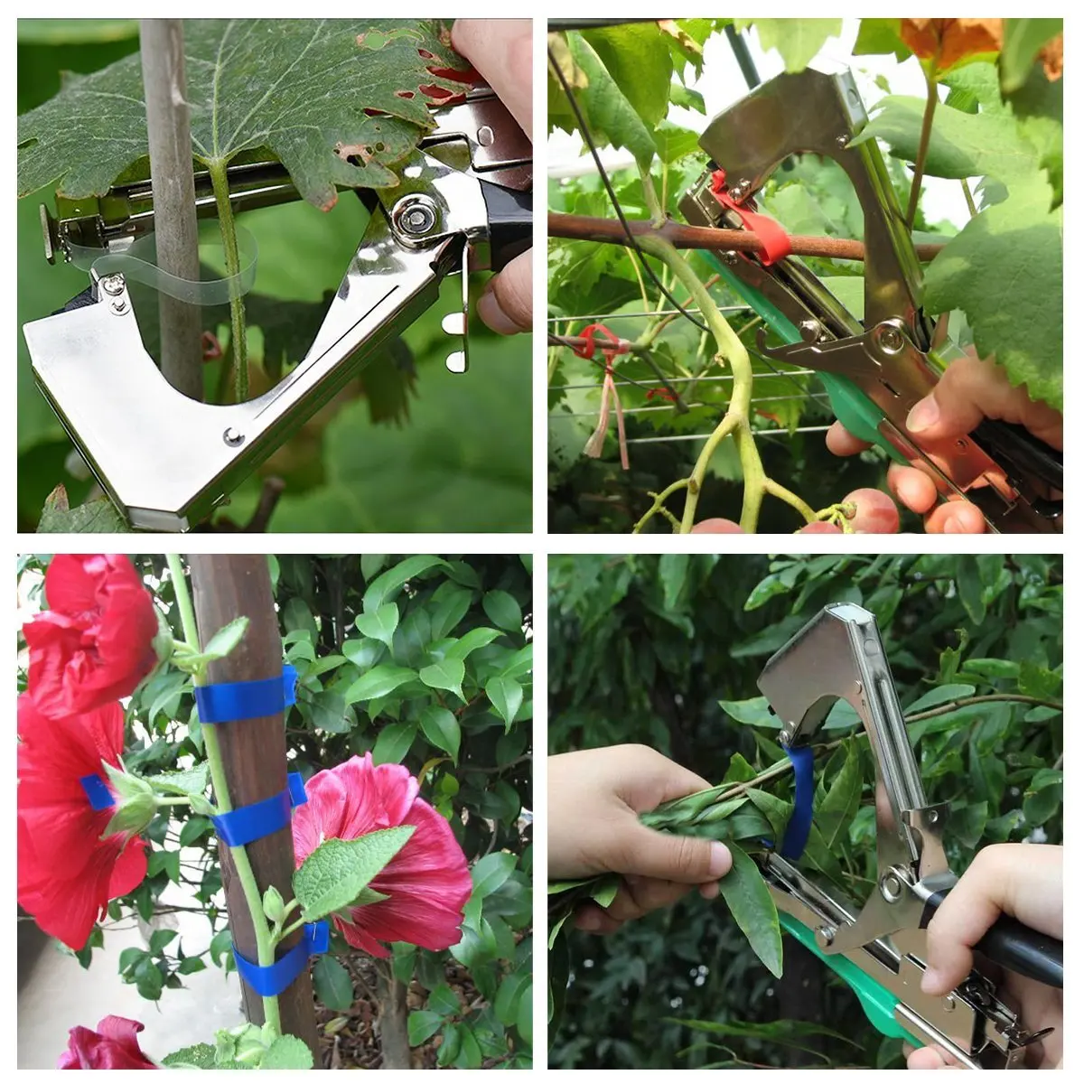 Attrezzi da giardino giarrettiera piante ramo di piante legatrice a mano legatrice nastri di Tapetool per verdure macinate giardino domestico