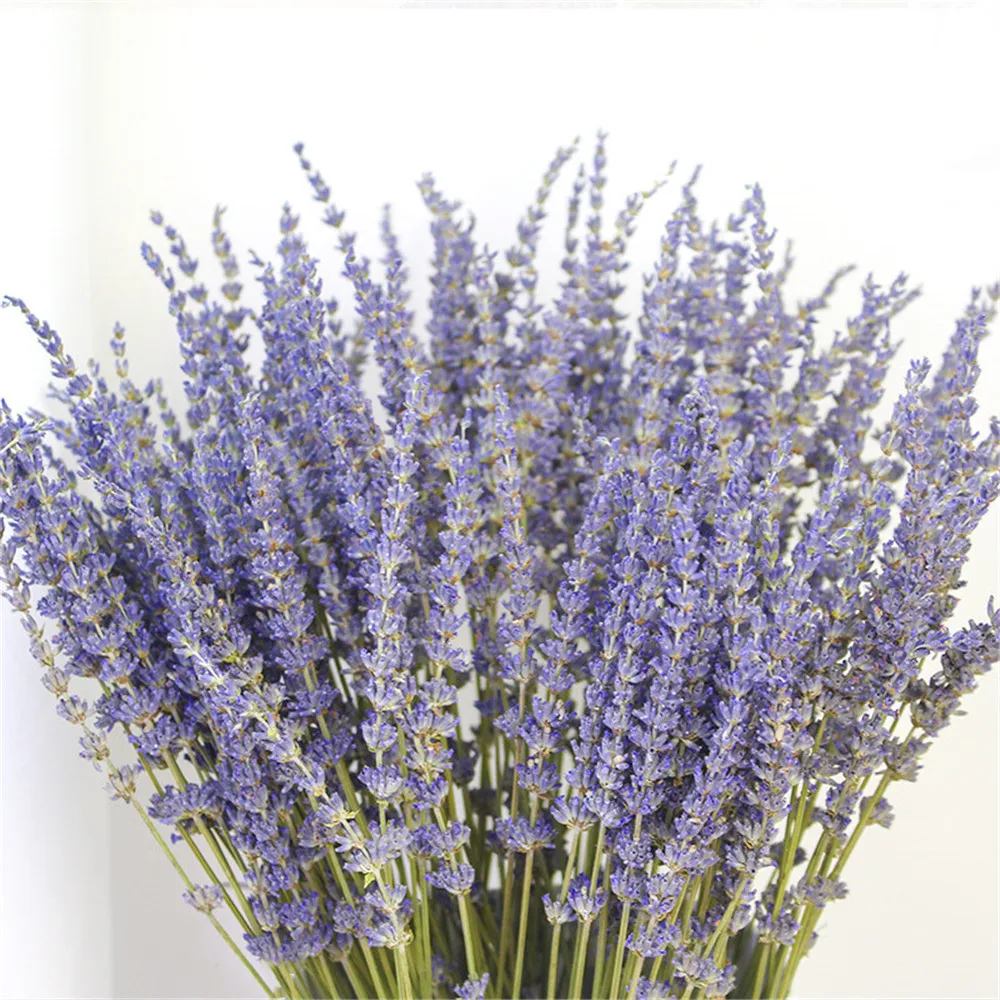 

100G/Pack Natural Dried Lavender Flower Bundles Wedding Bride Holding Flowers Bouquet for Home Wedding Decor