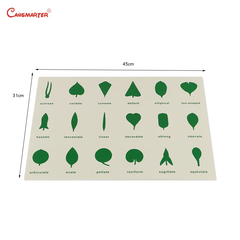 Montessori Teaching Botany Leaf Cabinet Control Chart Card PVC Materials Children House Center Cards Set Educational Toy