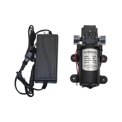 Professional Electric 12V DC Pump 1/2 Inch Agricultural Extractor Transfer pump Car Wash Watering Diaphragm Self Priming Pump
