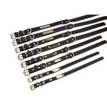 Engraved Dog Collar Large #3