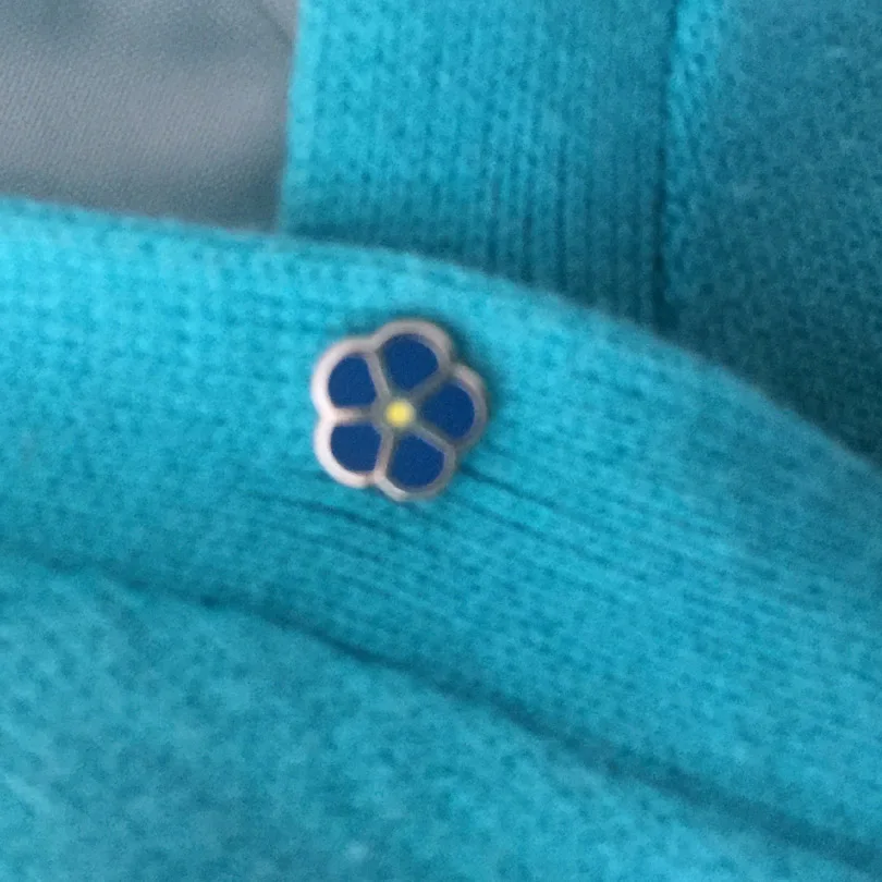 2pcs Masonic WW2 Lapel Pin Freemason Cute Small Flower Brooches Forget Me Not Enamel Collar Badges Leaf Rope Metal Craft