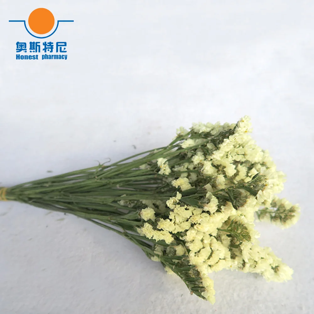 Yellow color dried natural flower bouquets natural dried Myosotis Sylvatica bouquets&Forget me not Flower bouquets