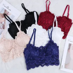 Delle donne Sexy Del Merletto Top Solido Delle Signore Camisoles Crop Top Imbottito Biancheria Intima Scava Fuori Crochet Del Merletto di Alta Qualità Del Tubo Superiore di Carro Armato