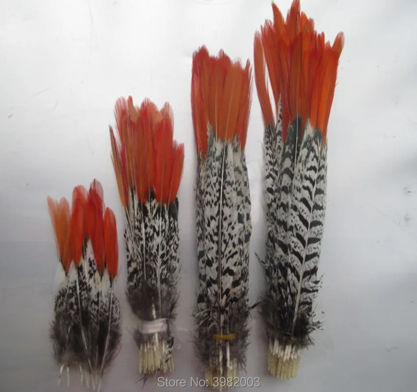 10pcs natural copper chicken red pointed feathers 10-35cm long rare feathers DIY jewelry clothing hats feathers decoration