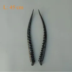 45cm Antelope antler  white/black two color for option
