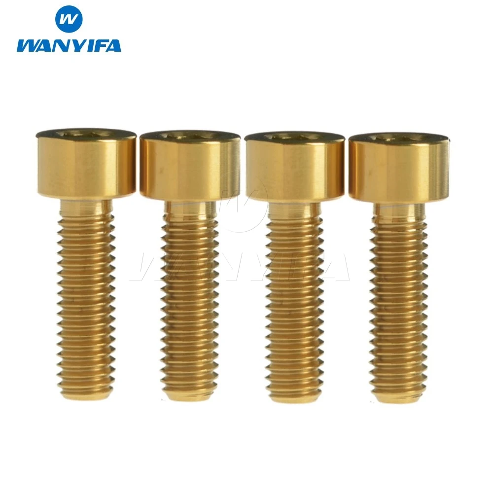 Wanyifa M6x 18 20mm Titanium Ti DIN912 Bolt Hexagon Head Allen Key Screws Bicycle Disc Break Calipe pack of 4