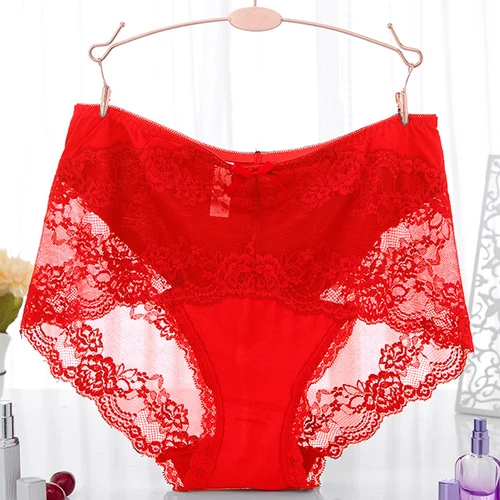 Imagen 2 del producto Bragas de talla grande para mujer, ropa interior de cintura alta, bragas de talla grande para mujer, bragas de encaje sexis transparentes de talla grande para mujer 4XL