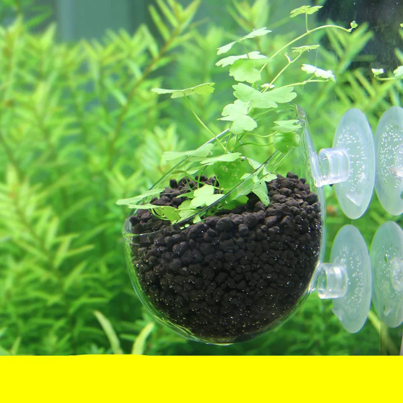 Mini Aquarium Fish Tank Live Plant Cup Landscape Plants Cultivation Basin Cup Water Feeding Basin