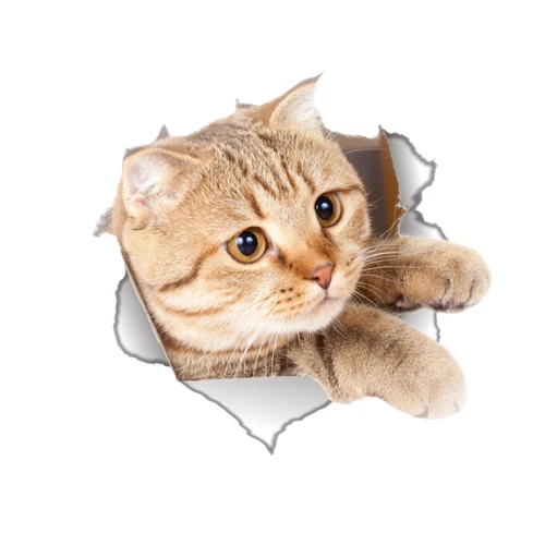 Leuke katten muursticker Hole View Levendige honden badkamer 3D toiletstickers voor huisdecoratie dieren stickers zelfklevende poster