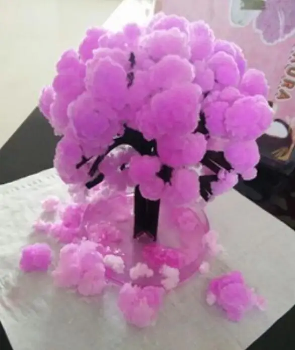 2019 50PCS 14x11cm Pink Big Magic Grow Paper Japanese Sakura Tree Magically Growing Trees Kit Desktop Cherry Blossom Kids Toys