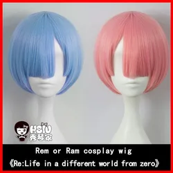 HSIU Pure color REM cosplay wig or RAM cosplay wig Re:Zero Starting Life in Another World play Halloween Give away brand wig net