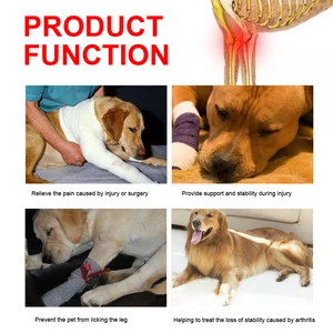 Hundeknie, Verletzungen, Bein, chirurgische Verpackung für Artikulation, Hundwunden, Curiza Hunde -Frontarthritis, Vermeidung von Hunden, medizinische Versorgung Hauptprotetoe Sales Knie Dog - №4