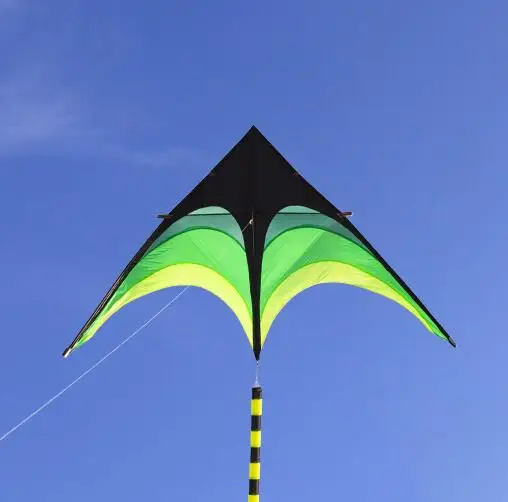 Free shipping large delta kites flying toys for children kites handle line outdoor sports kites nylon professional wind kites