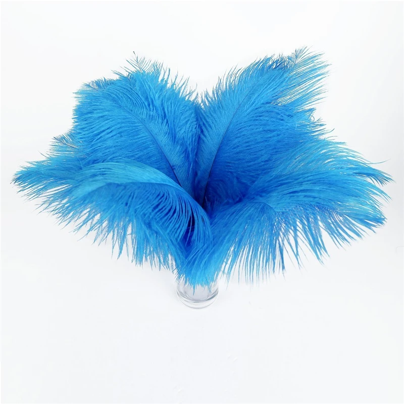 Großhandel Seeblaue Straußenfedern 15-75CM 6-30 Zoll DIY Karnevalsdeko Party Hochzeitsdekorationen Natürliche Straußenfedern – Detail 7
