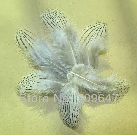 Plumas Decoracion! 100pcs/lot 4-7cm Hand Selected SILVER PHEASANT BODY PLUMAGE FEATHERS Natural White Black Fly/Fishing/Craft