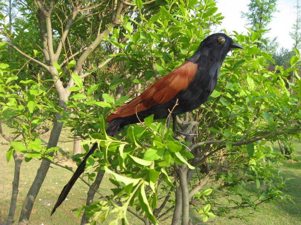 new 35cm Paradoxornis brunneus bird model,polyethylene&feathers artificial bird handicraft,garden prop decoration gift a2425