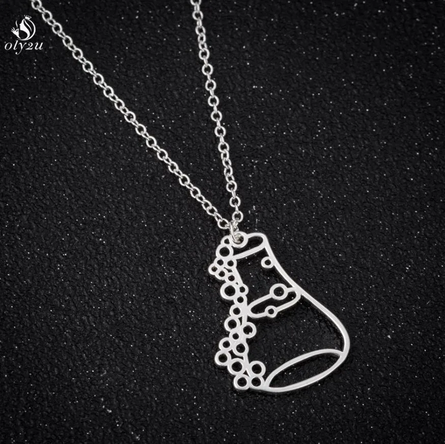 Oly2u Long Pendant Necklace Trendy Erlenmeyer Flask Necklace Potion Bottle Chemistry Laboratory Graduation Gift Conical Flask