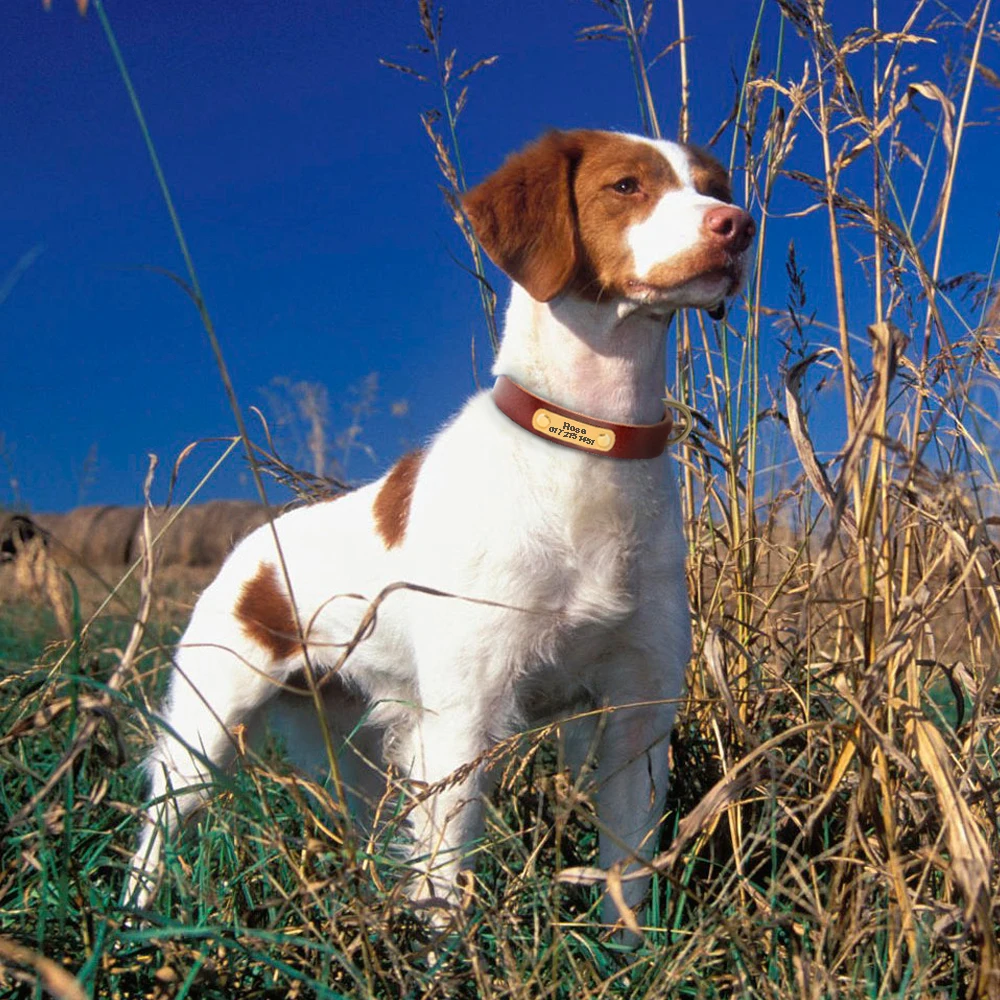 パーソナライズされた犬の首輪レザーカスタマイズ ID 名の首輪犬アジャスタブル彫刻小中大犬ペットパグ XS