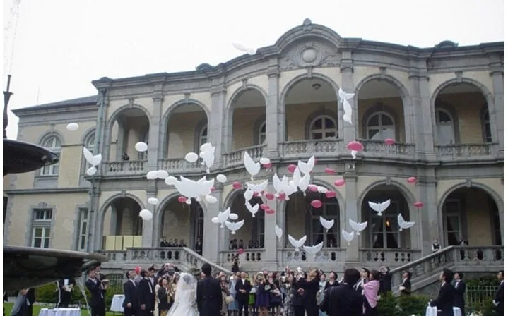 Imagem -04 - Balões Brancos Biodegradáveis Infláveis da Pomba do Hélio do Casamento dos Peças 500 para a Decoração do Casamento Pombas Dados Forma Bio Balões