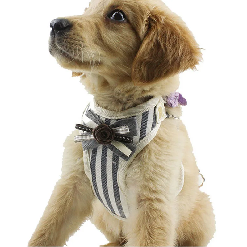 Soft Mesh Dog Harness Stripe Pet Puppy Dog Cat Harness Leash Set Cute Lace Pet Vest for Small Medium Dogs Chihuahua Yorkie Teddy