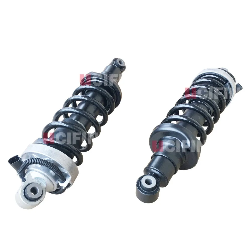 LuCIFINIL New 2pcs Suspension Spring Rear Shock Absorber Strut Assembly Fit Audi R8 V8 V10 420512019AK, 420512020AK