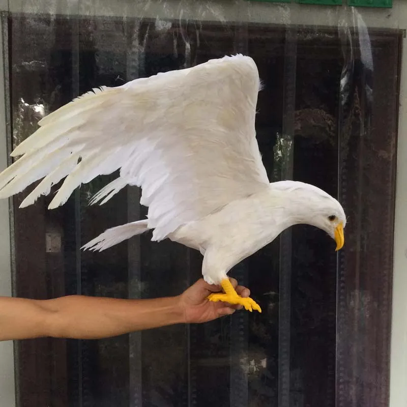 

big simulation white eagle model foam&feather wings eagle toy gift about 90x45cm 2819