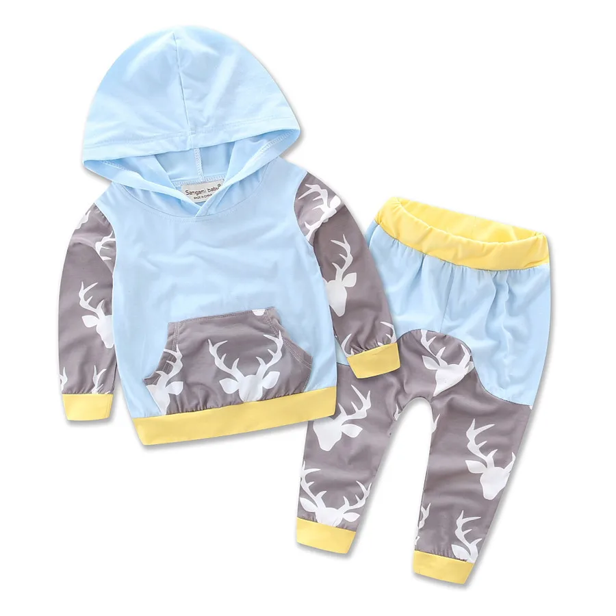 Baby Clothing Set Autumn New Baby Boy Clothes Baby Girls Long Sleeve Hooded Tops Floral + Pants 2Pcs Baby Outfits Costume