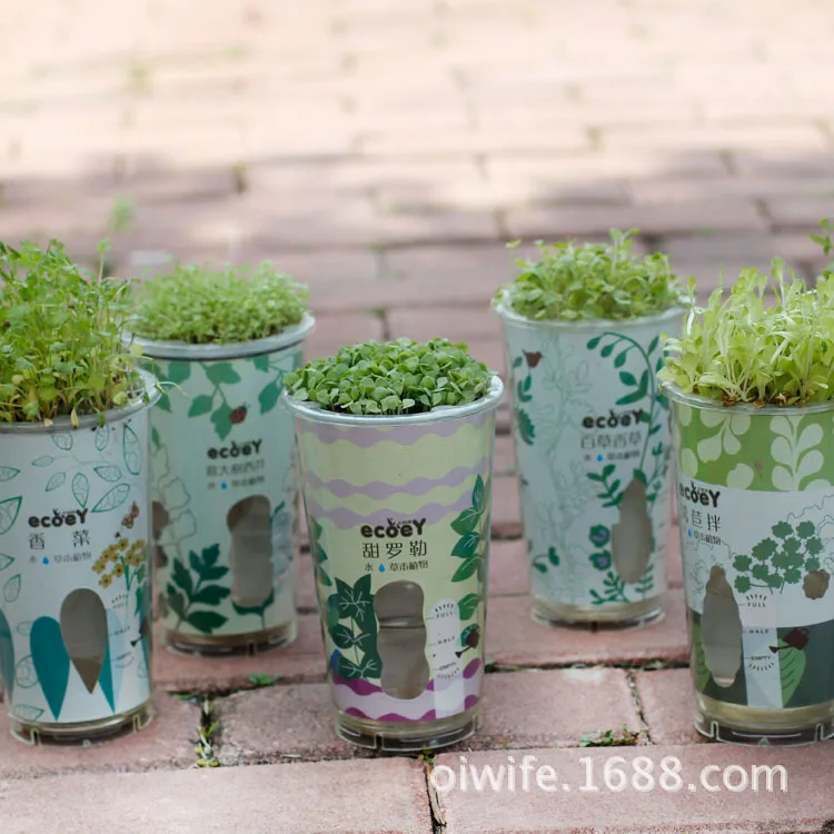 

Manufacturers supply automatic water ecological E Park Broadwood creative indoor mini potted garden planting mixed batch