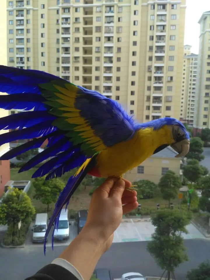 big blue&yellow simulation parrot toy polyethylene & furs wings parrot doll gift about 45x60cm 1932