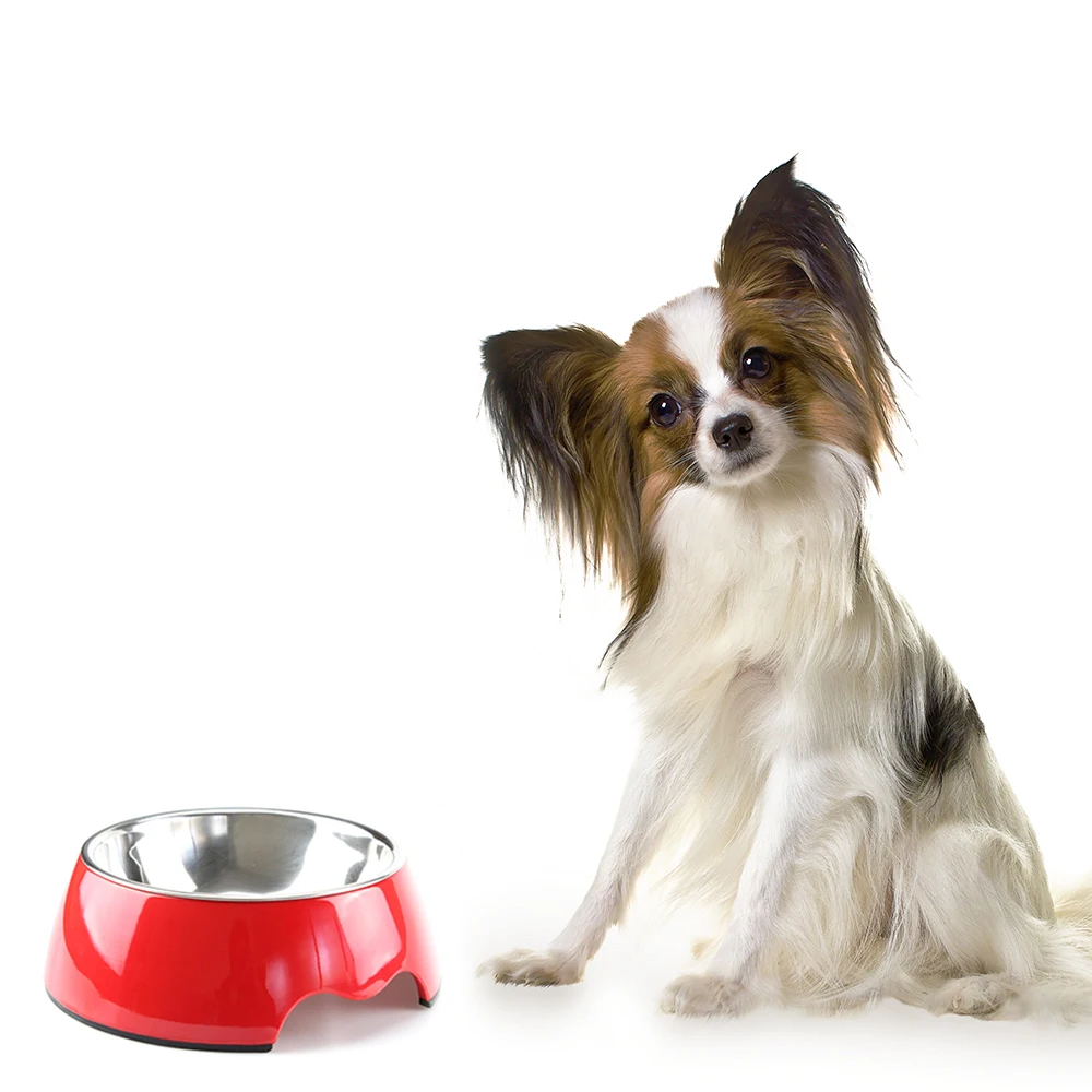 Muti Colors Solid Melamine Plastic Stainless Steel Dog Bowl Dog and Cat Feeder Pet Dinner Dish Feeding and Watering