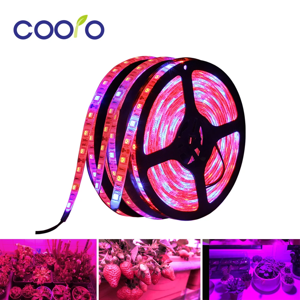 

LED Phyto Lamps Grow Lights SMD 5050 LED Strip Light DC12V Flower Plant Growth Lamps for Greenhouse Hydroponic Plant Growing