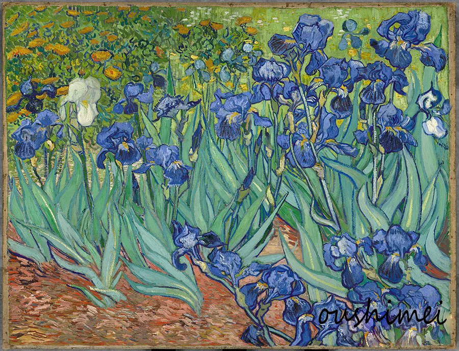 

Skillful Painter Hand Painted Reproduction Dutch Painter Van Gogh Oil Painting on Canvas Home Decor Irises Painting Landscape