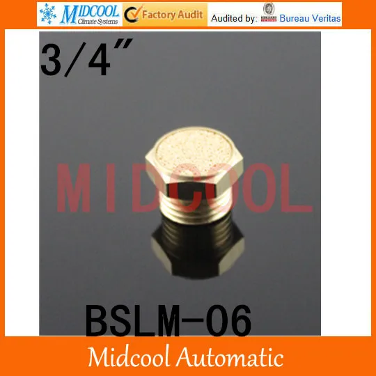 

Free shipping BSLM-06 Points flat muffler mini miniature port 3/4"