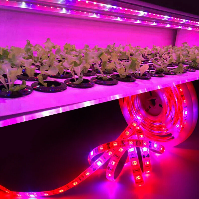 20M LED Grow Light Spectrum DC12V USB Grow Light Strip LED Phyto Lamp For Plants Greenhouse Hydroponic Growing power supply Full