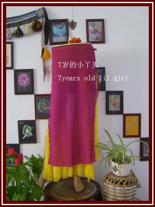 

Transparent Thin Skirt With Open Slit Belly Dance CX013