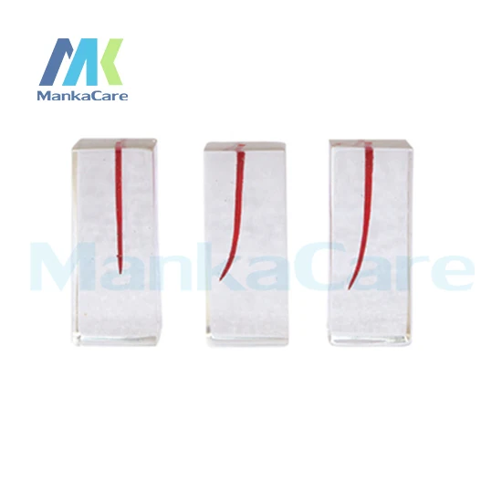 

3 Pcs Dental Canal Excellent for root canal filling cavity preparation Transparent Unstained Root Canal Endodontic Tooth Block