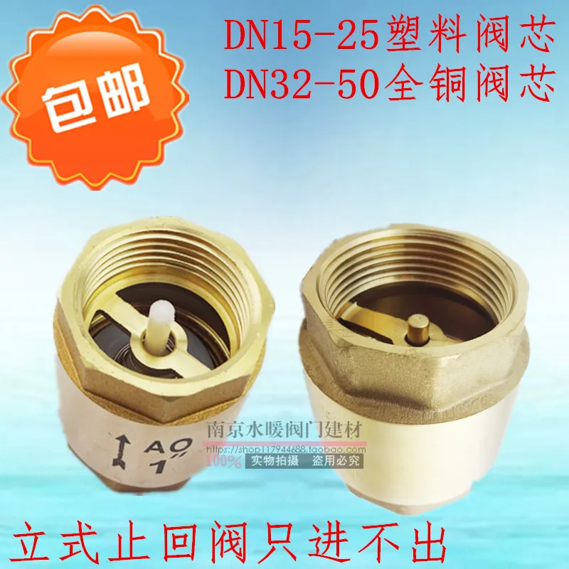 

Brass female vertical check valve check valve check valve spring check valve 4 points 6 points 1 inch DN15 20